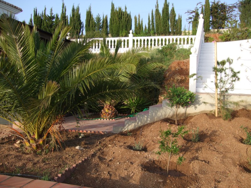 Anadalusien 2009 - 0004 